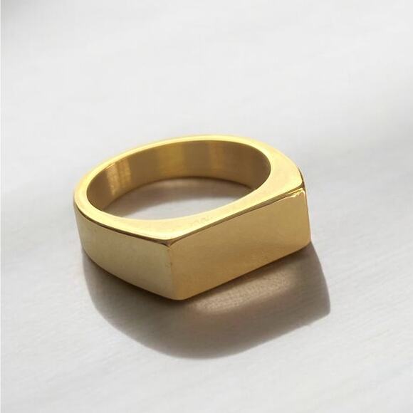 New Minimalist Unisex 18K Plated Gold Signet  NIB - Picture 1 of 6